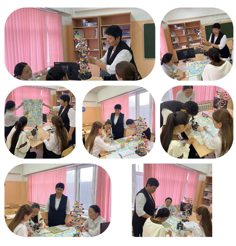 11-сынып білім алушылары қаңтар ҰБТ-на келген сұрақтар бойынша биология пәнінен қатемен жұмыс жүргізді.